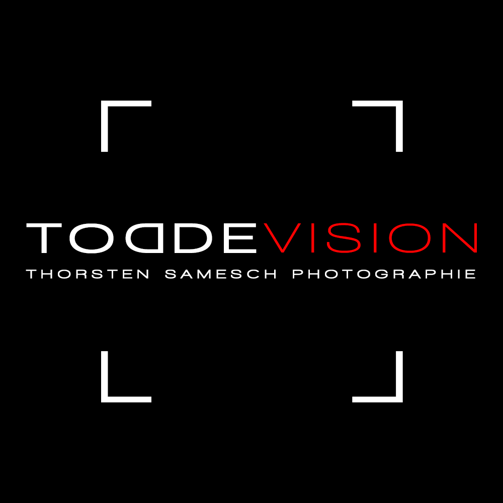 LOGO_Quadrat_ToddeVision